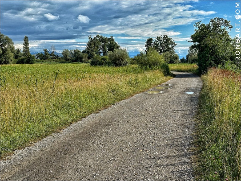 Is 180 Steps Per Minute the Perfect Running Cadence for&nbsp;Ironman?