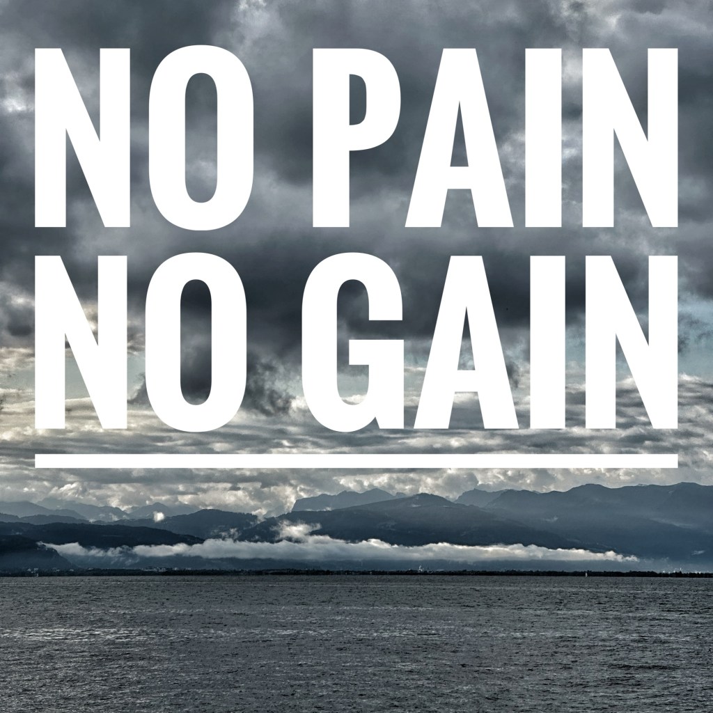 No Pain No Gain 