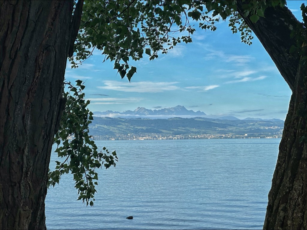 Never Miss Two Sessions in a Row